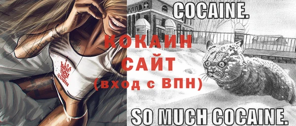 спиды Мегион