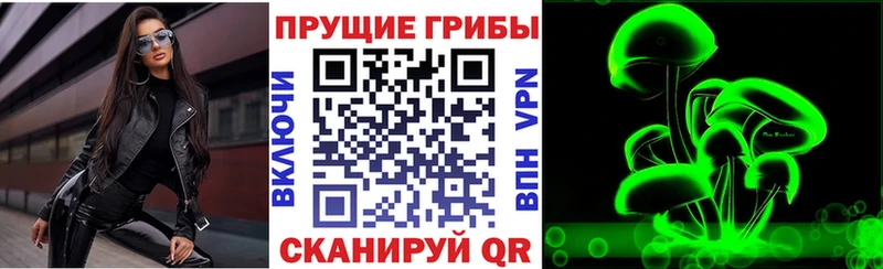 Псилоцибиновые грибы ЛСД  Купить  Великий Новгород 
