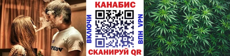 Бошки марихуана THC 21%  Купить закладки  Великий Новгород